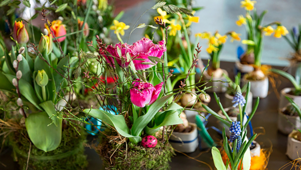 Frühlingsfest an der JGS