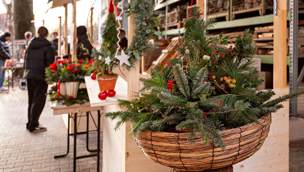 Winterzauber auf dem Bauhof